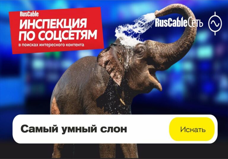  обложка5