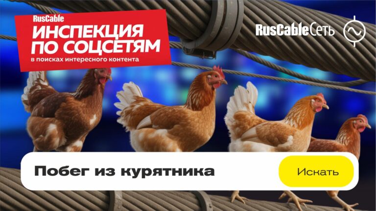 Резервная_копия_Инспекция обложка23